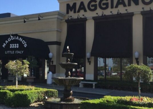 IMG_0074-1-2049x1536-1920w-880x400